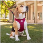 Curli - Vest Harness Air-Mesh - immagine 2